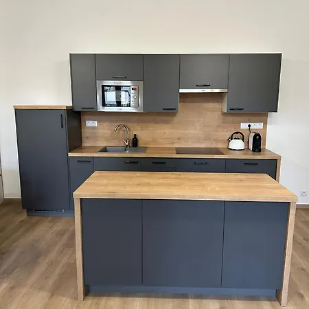 Frana 1 Ceske Budejovice