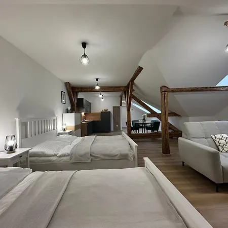 Frana 1 Ceske Budejovice