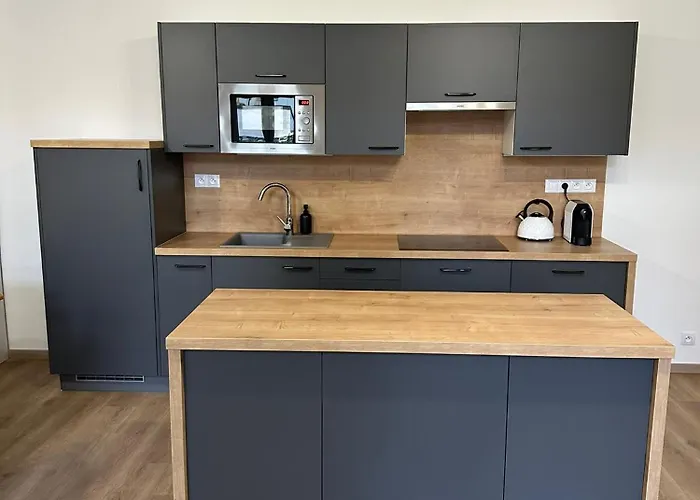 Frana 1 Ceske Budejovice